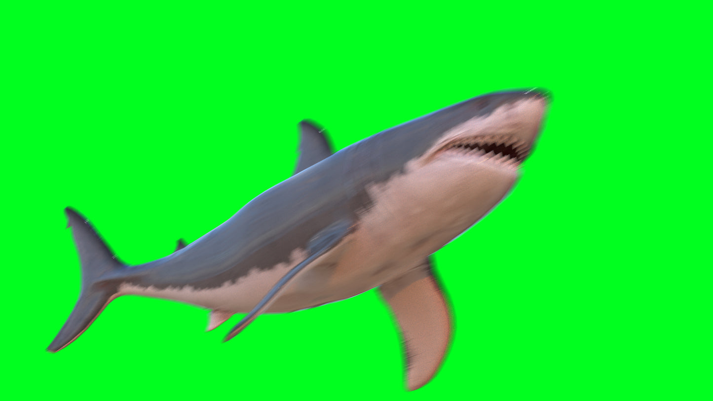 Shark Motion Blur PNG - Genariq