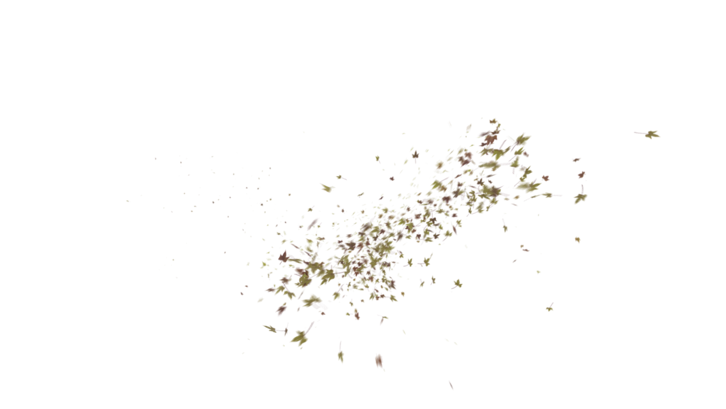 Leaves PNG - Genariq