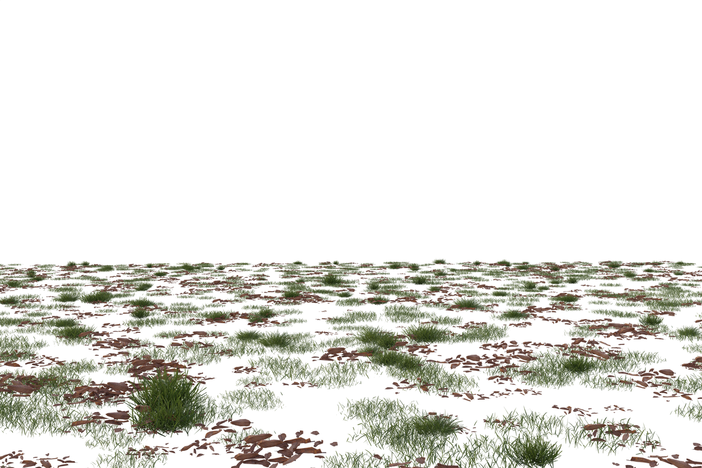 Flower Fields - Genariq