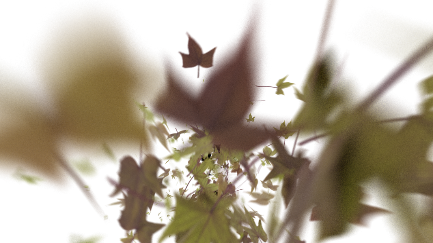 Transitions
