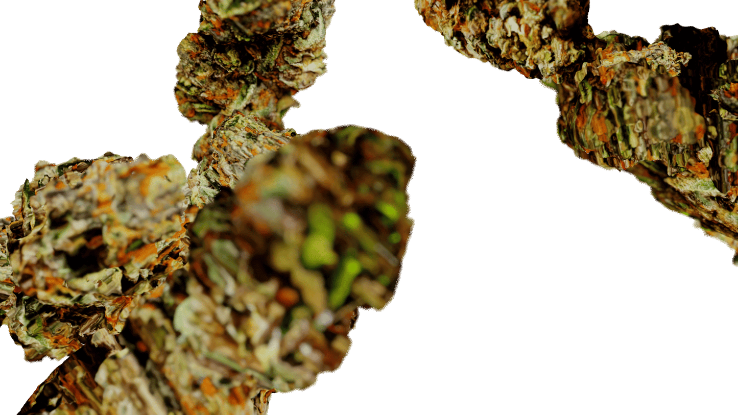 Weed Need Nug Pack - Genariq