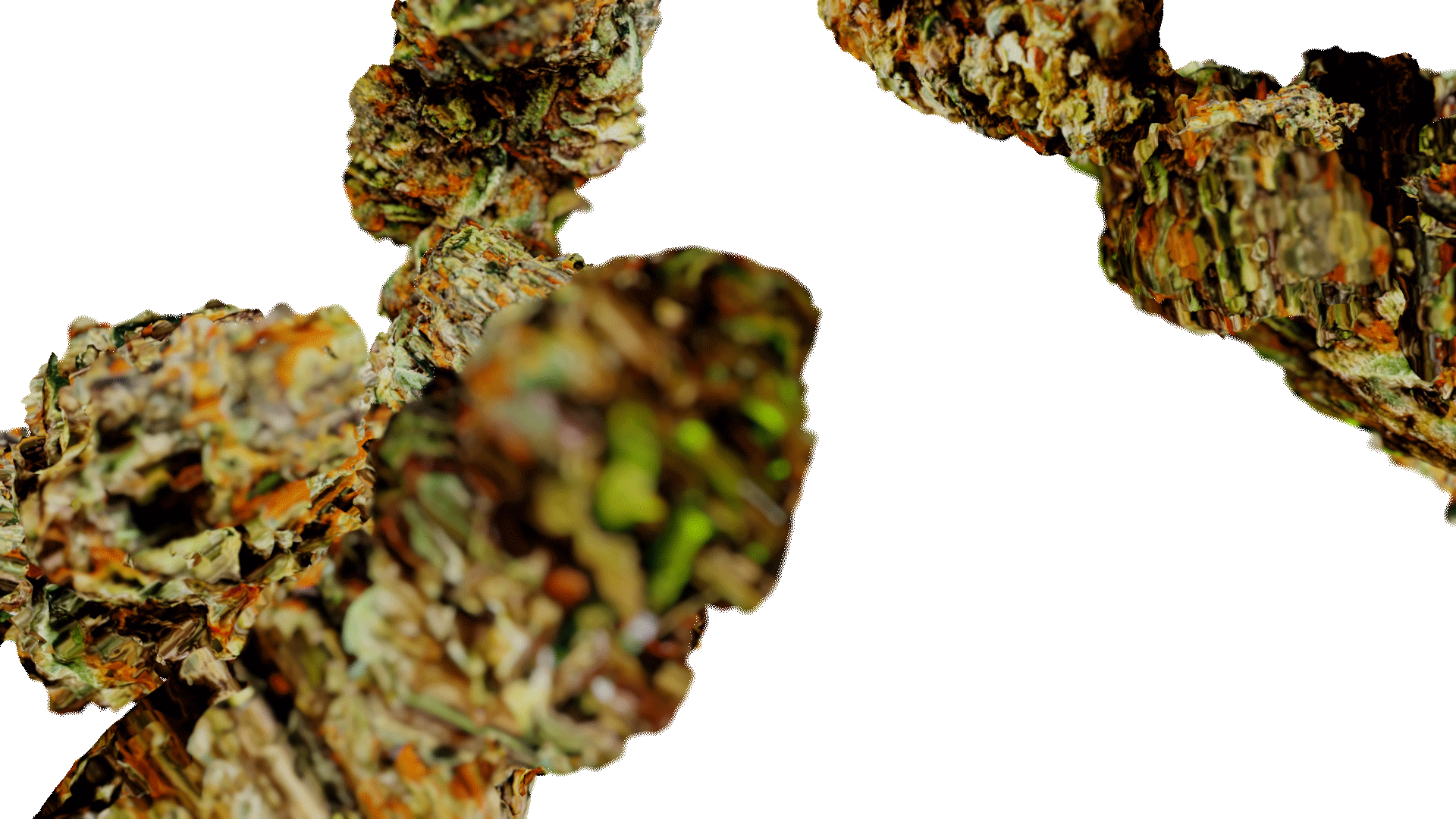 Weed Need Nug Pack - Genariq