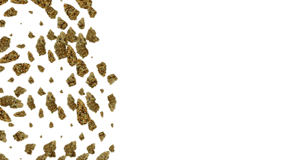 Weed Need Nug Pack - Genariq