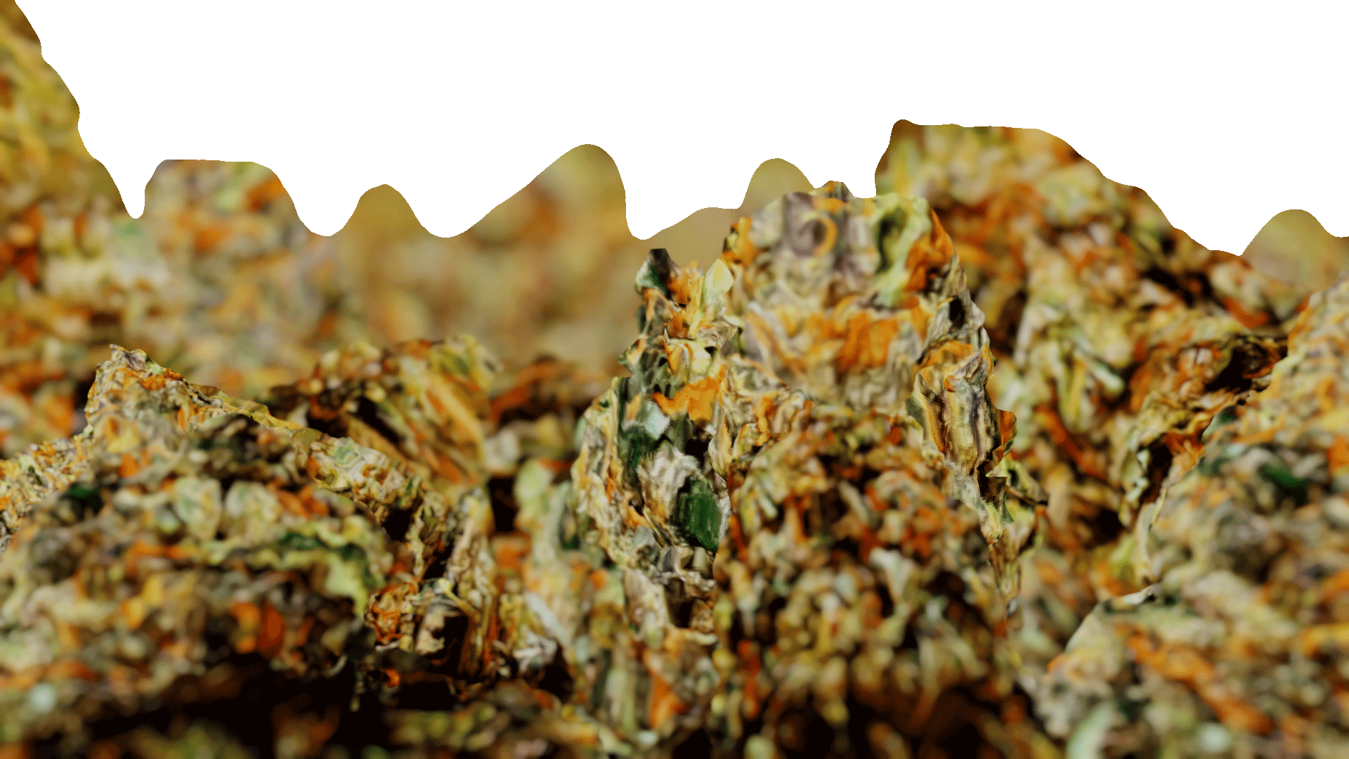 Weed Need Nug Pack - Genariq