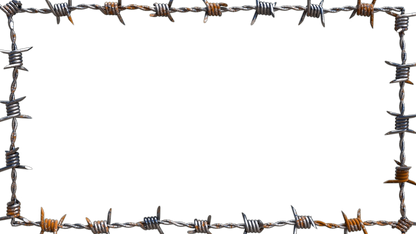 Barbed Wire Borders - Genariq