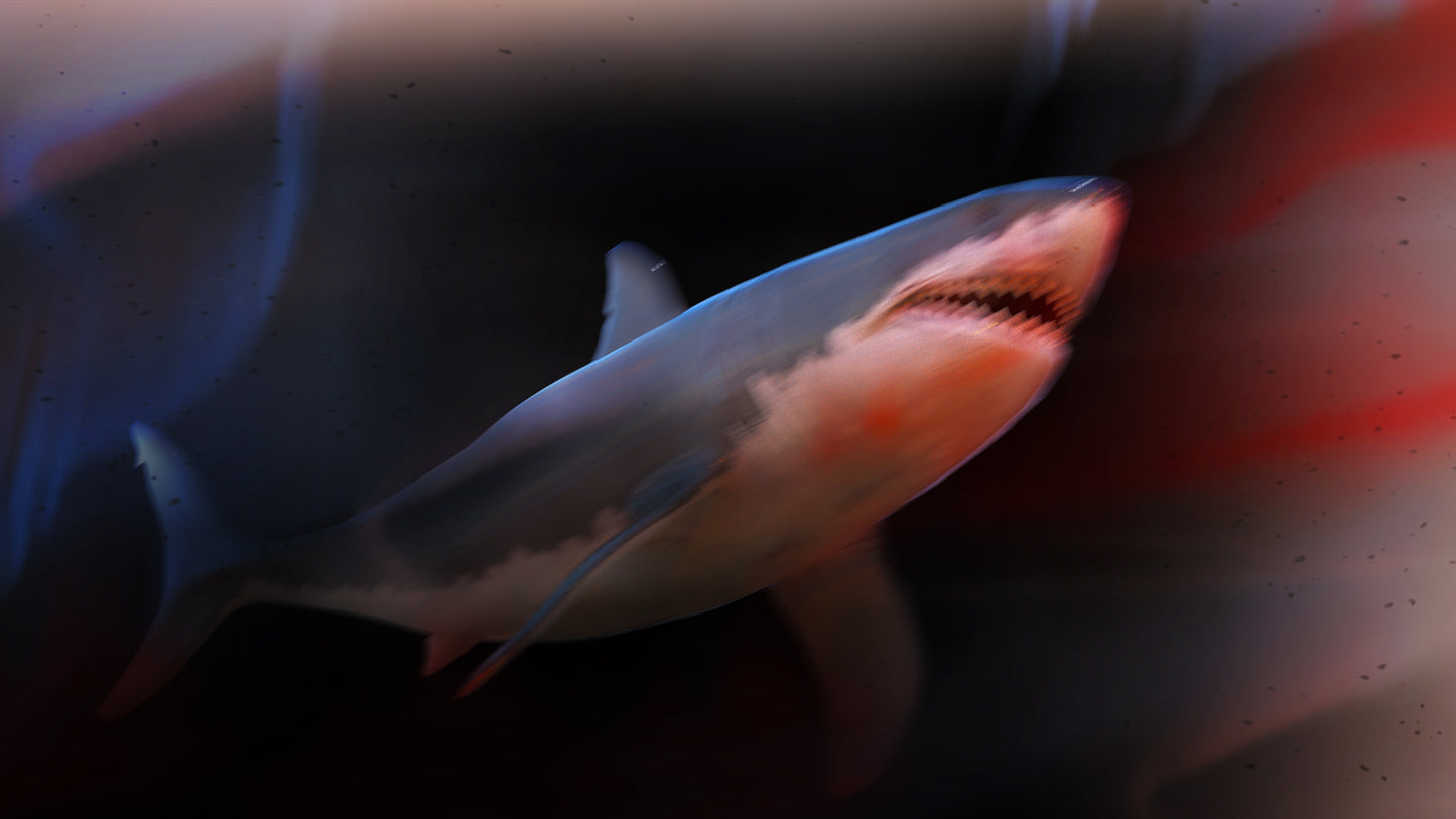 Shark Motion Blur PNG - Genariq