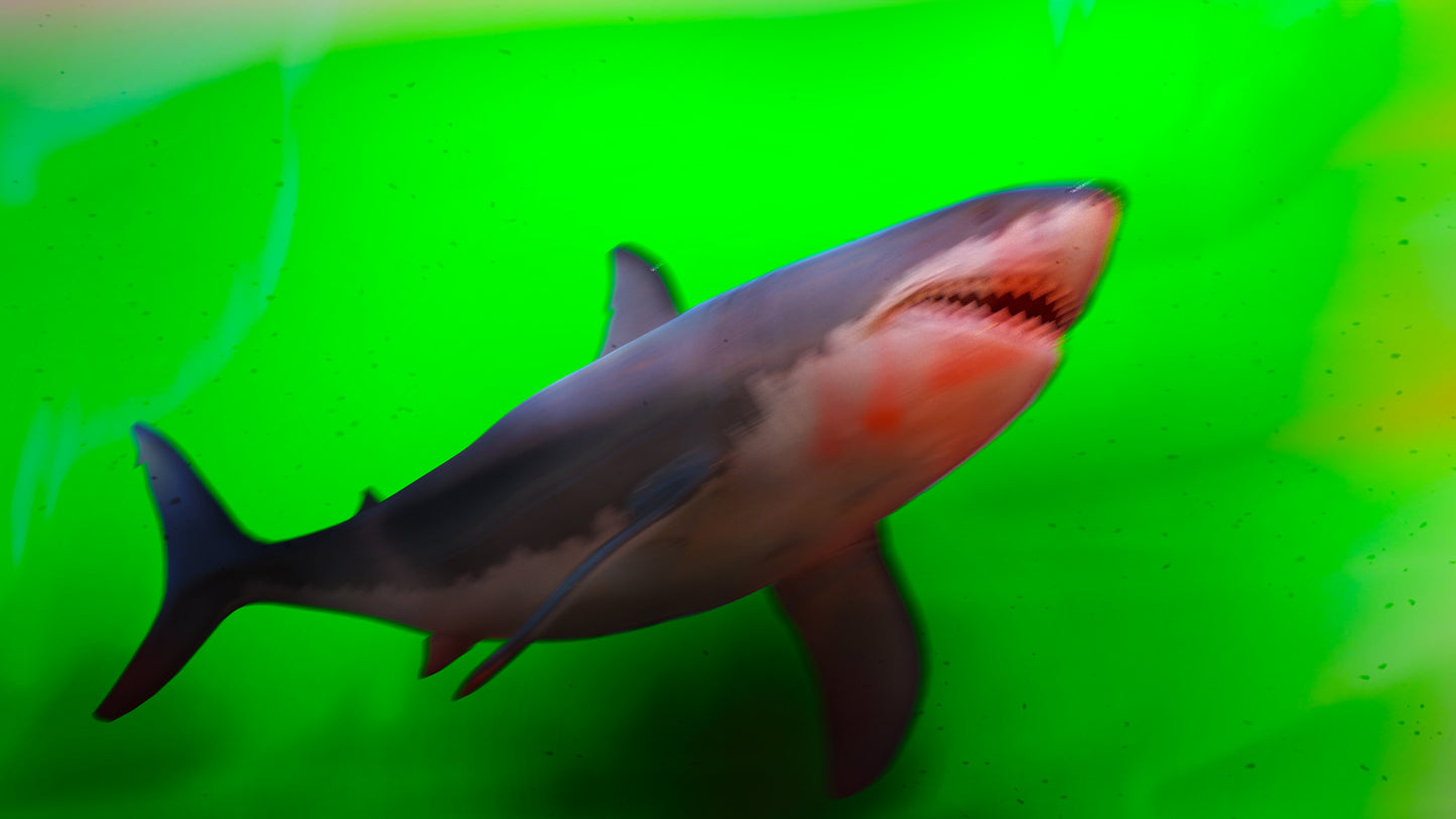 Shark Motion Blur PNG - Genariq