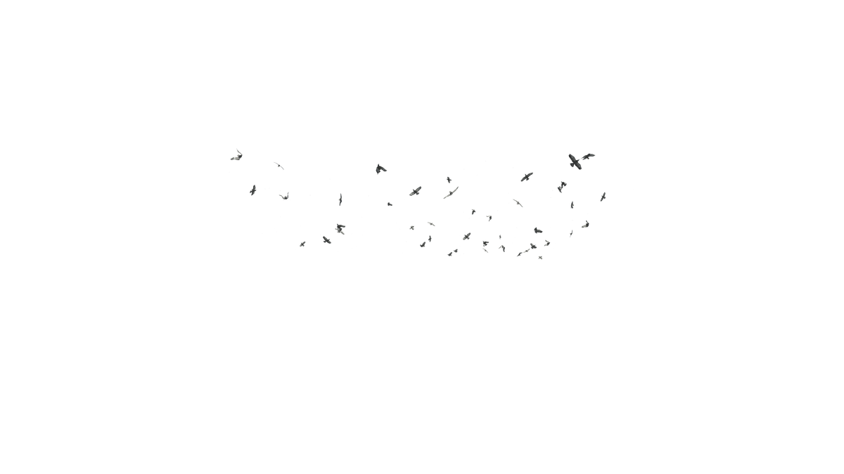 Birds Flying - Genariq