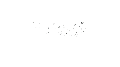 Birds Flying - Genariq