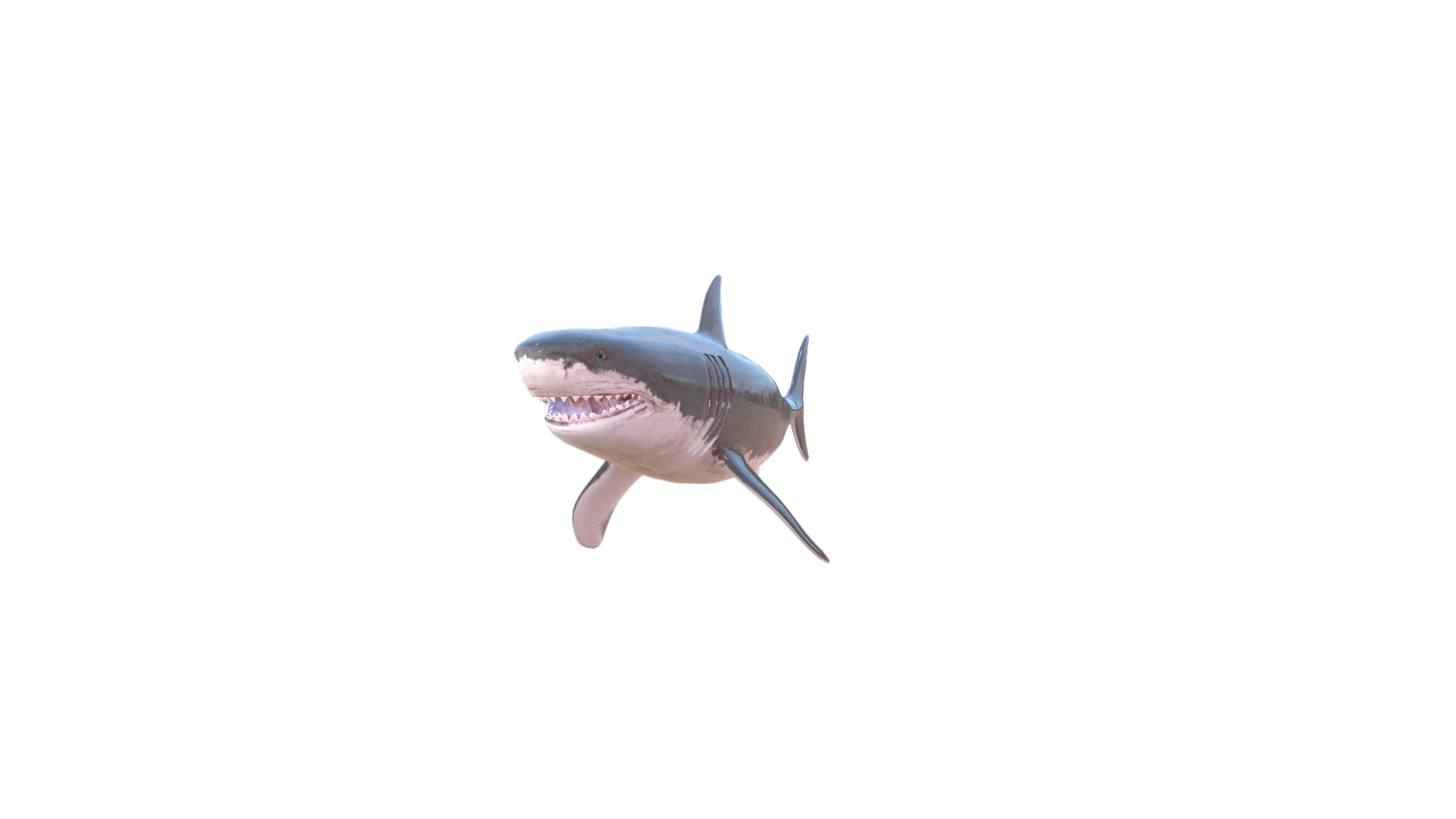 Shark Blood PNG - Genariq