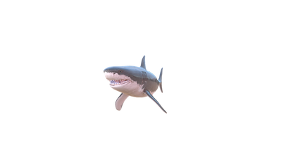 Shark Blood PNG - Genariq