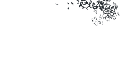 Birds Fly Behind - Genariq