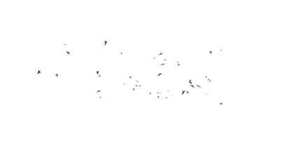 Birds Flying - Genariq