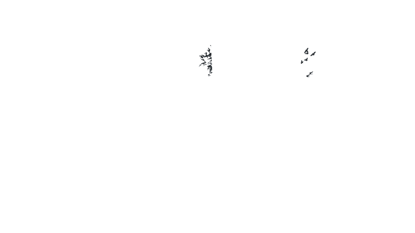 Birds Fly Behind - Genariq