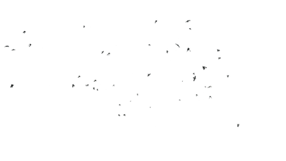 Birds Flying - Genariq