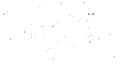 Birds Flying - Genariq