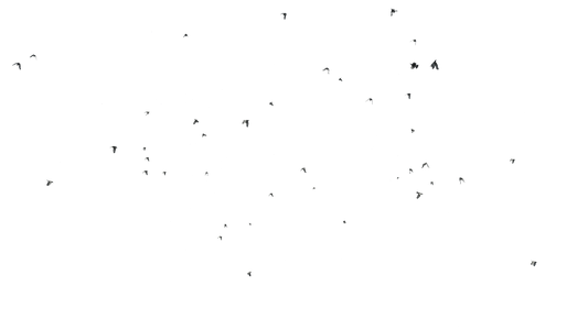 Birds Flying - Genariq