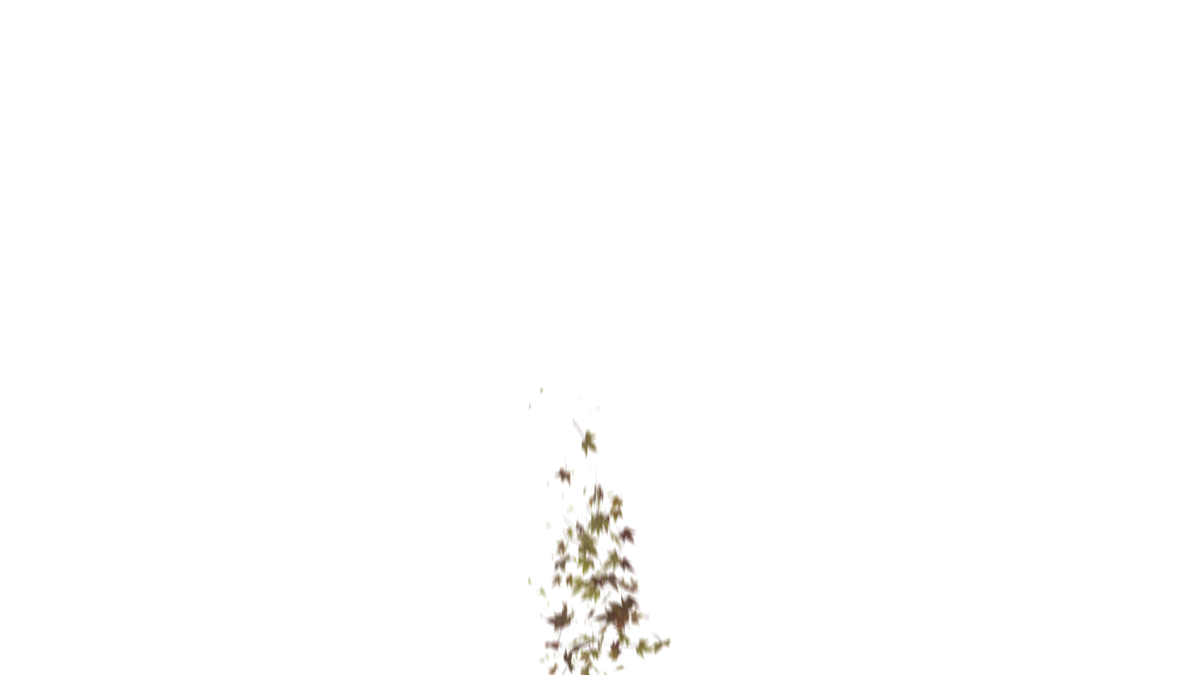 Leaves Bottom to Center Transition - Genariq
