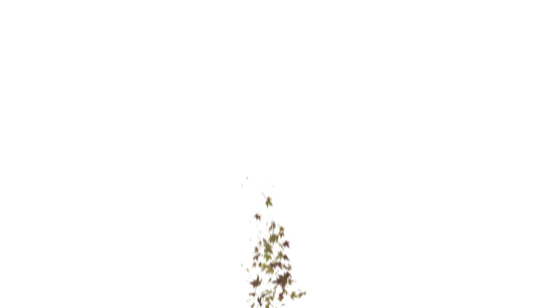 Leaves Bottom to Center Transition - Genariq