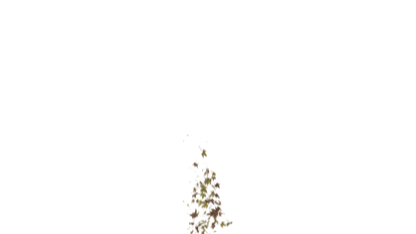 Leaves Bottom to Center Transition - Genariq