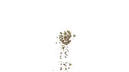 Leaves Bottom to Center Transition - Genariq