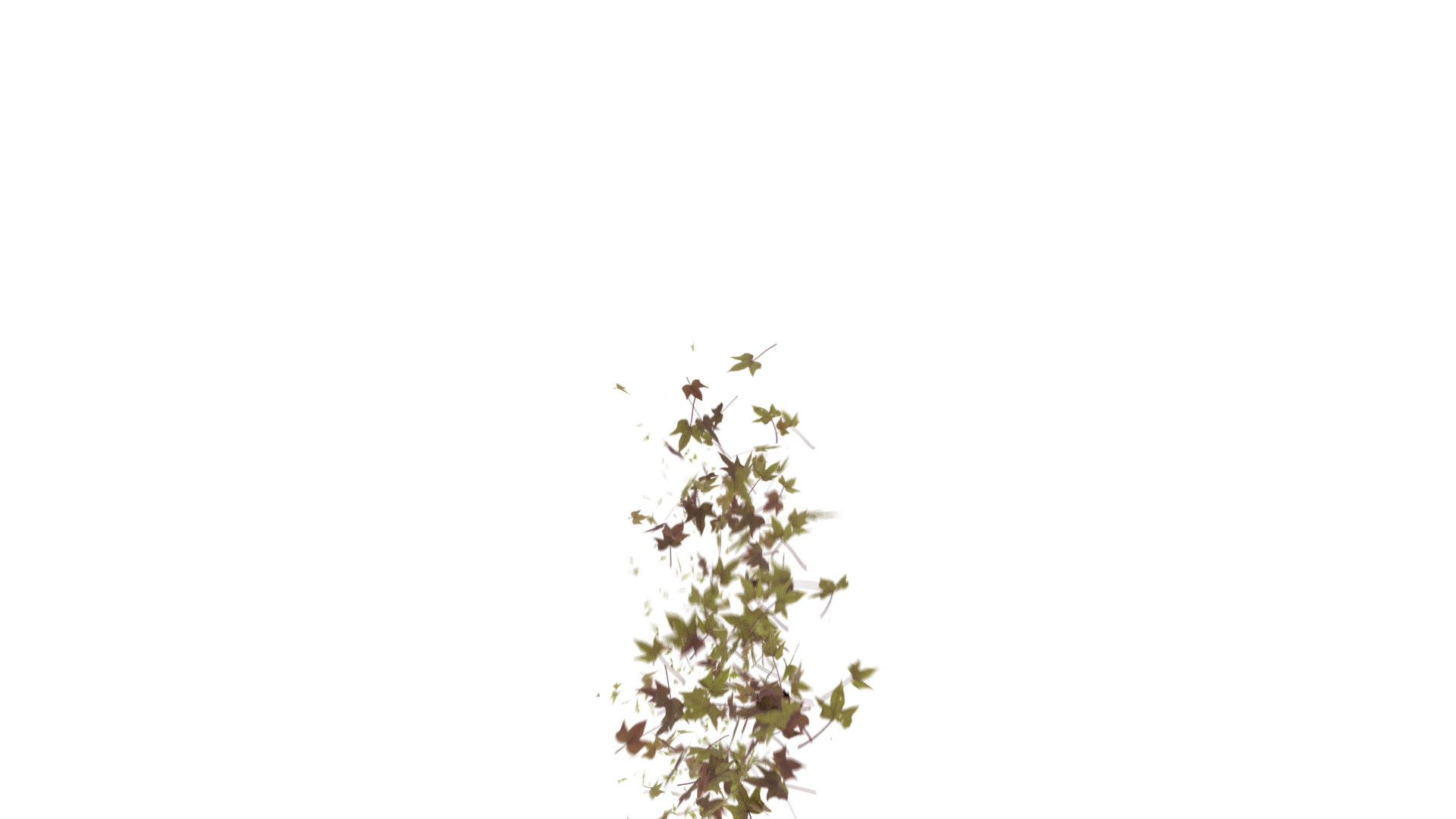 Leaves Bottom to Center Transition - Genariq