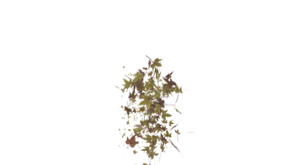 Leaves Bottom to Center Transition - Genariq