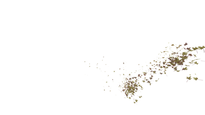 Leaves Right to Center - Genariq