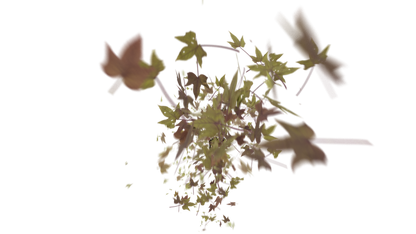 Leaves Bottom to Center Transition - Genariq
