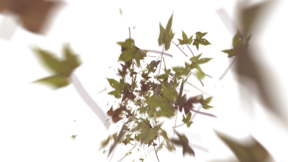 Leaves Bottom to Center Transition - Genariq