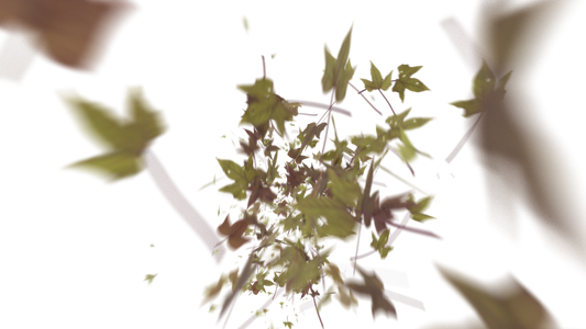 Leaves Bottom to Center Transition - Genariq
