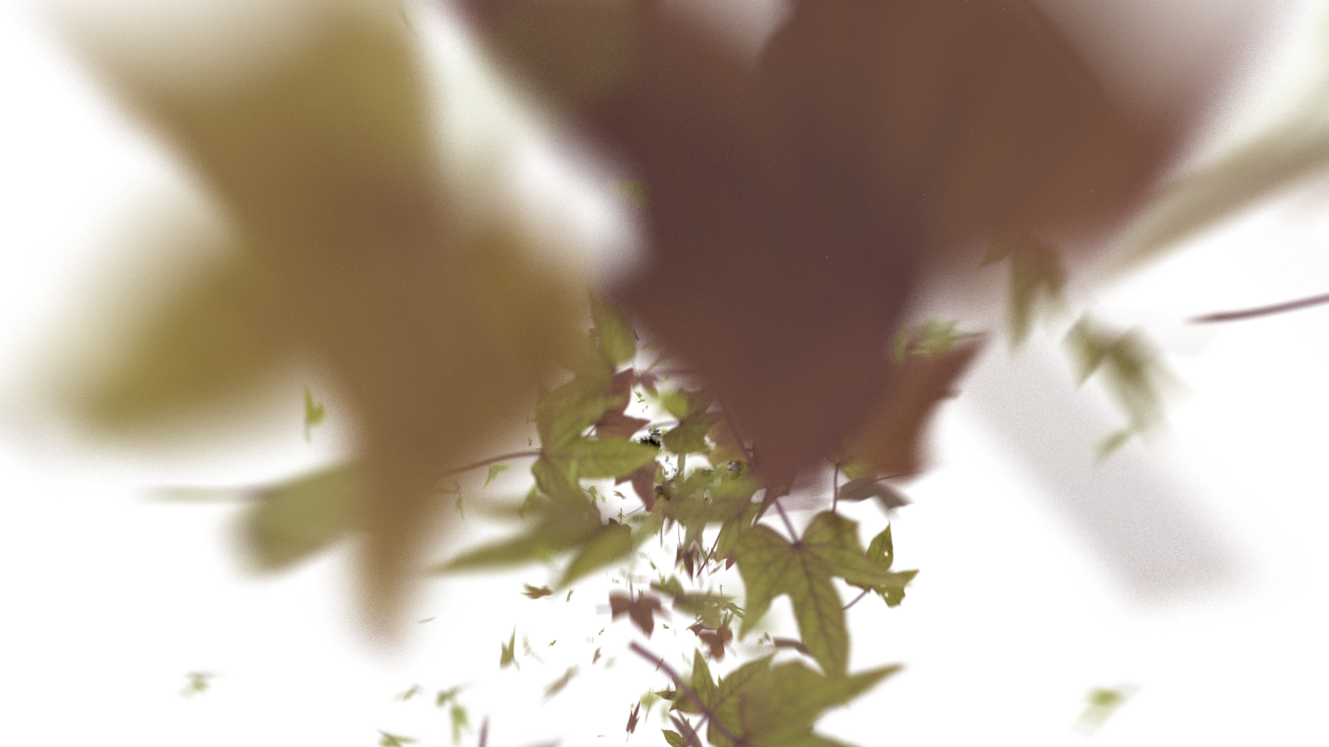 Leaves Bottom to Center Transition - Genariq