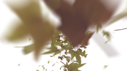 Leaves Bottom to Center Transition - Genariq
