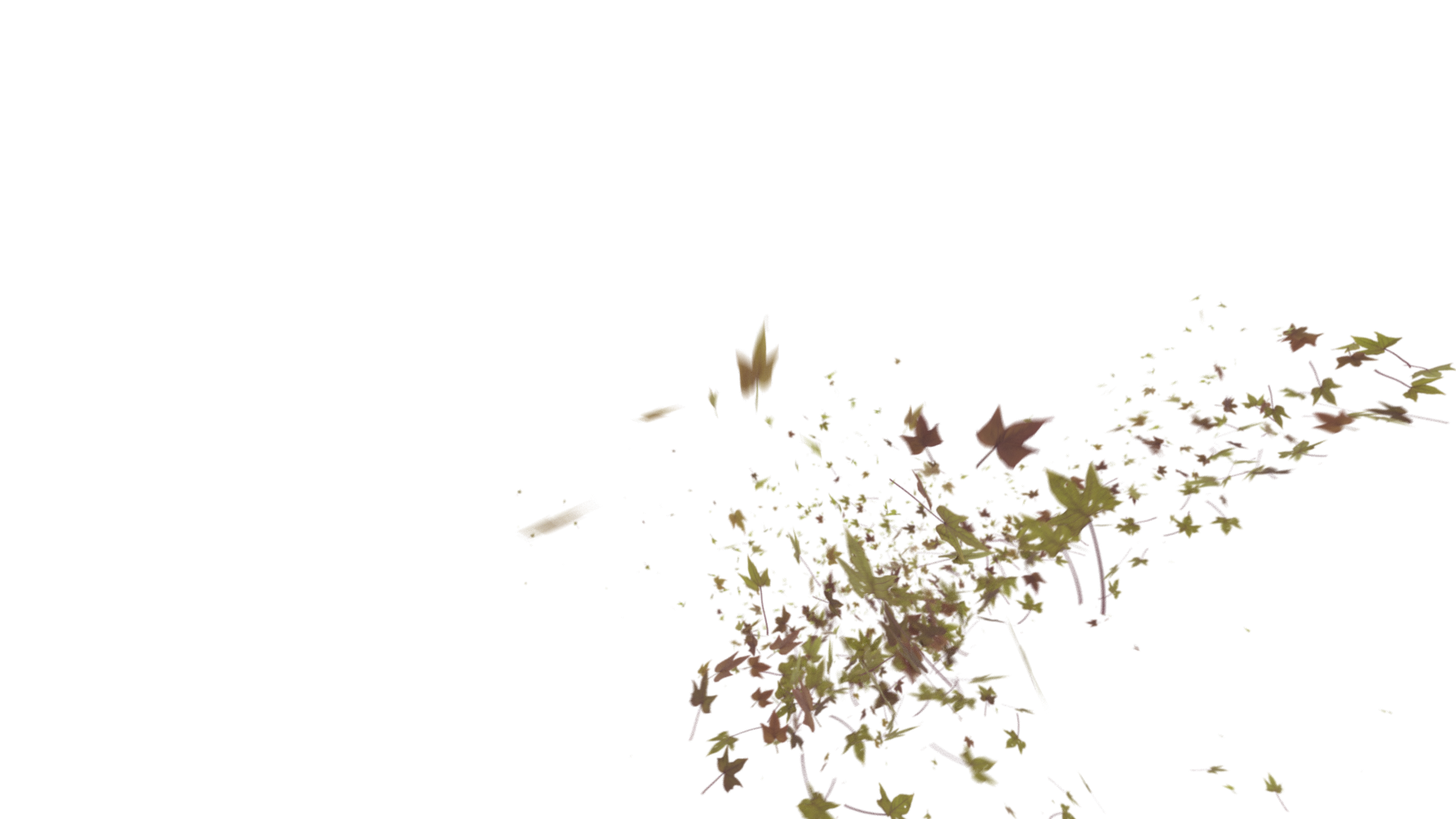 Leaves Right to Center - Genariq