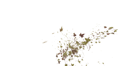 Leaves Right to Center - Genariq