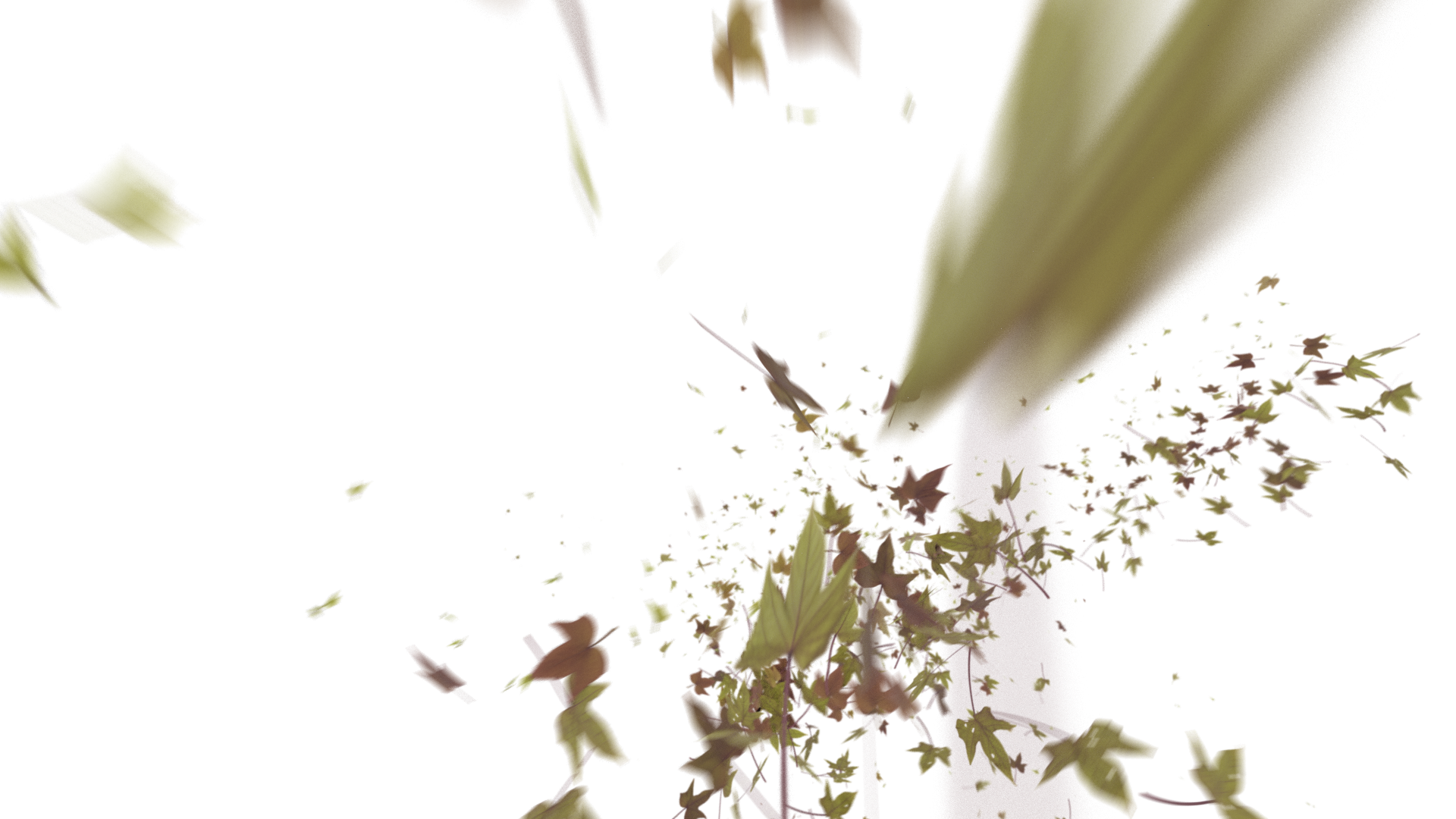 Leaves Right to Center - Genariq