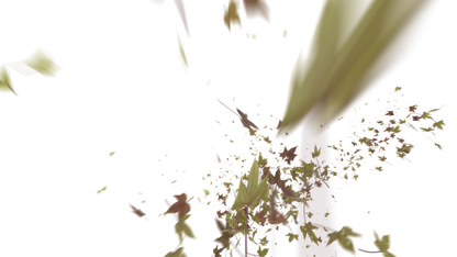 Leaves Right to Center - Genariq