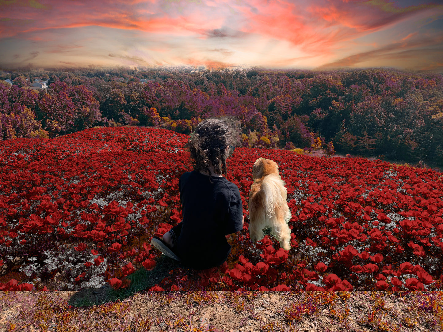 Flower Fields - Genariq