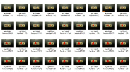 $Dollar Money Pack - Genariq