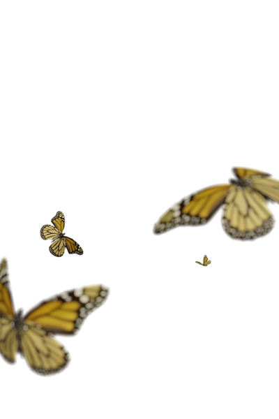 Butterfly PNGs - Genariq