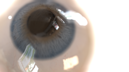 Eyeball Single Transition - Genariq