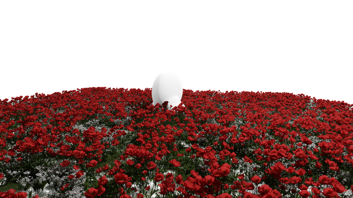 Flower Fields - Genariq