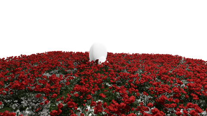 Flower Fields - Genariq