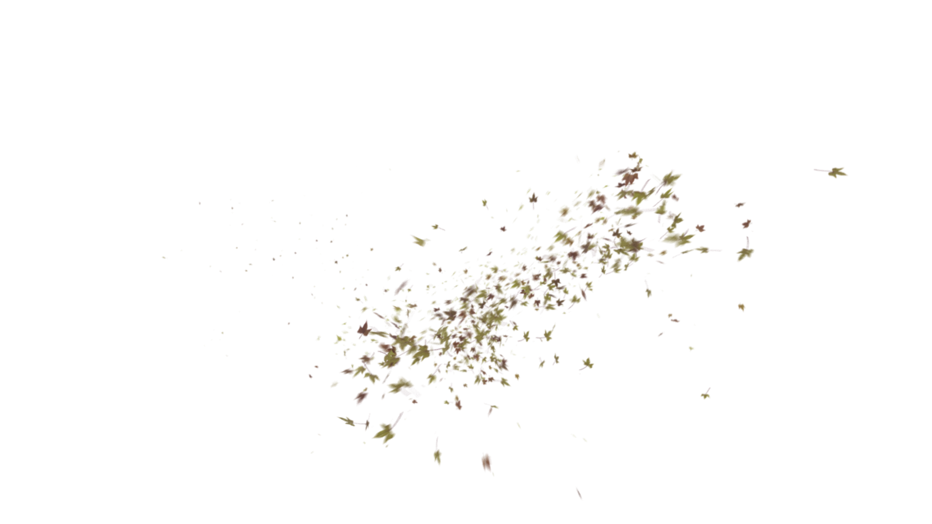Leaves PNG - Genariq