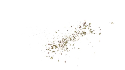 Leaves PNG - Genariq