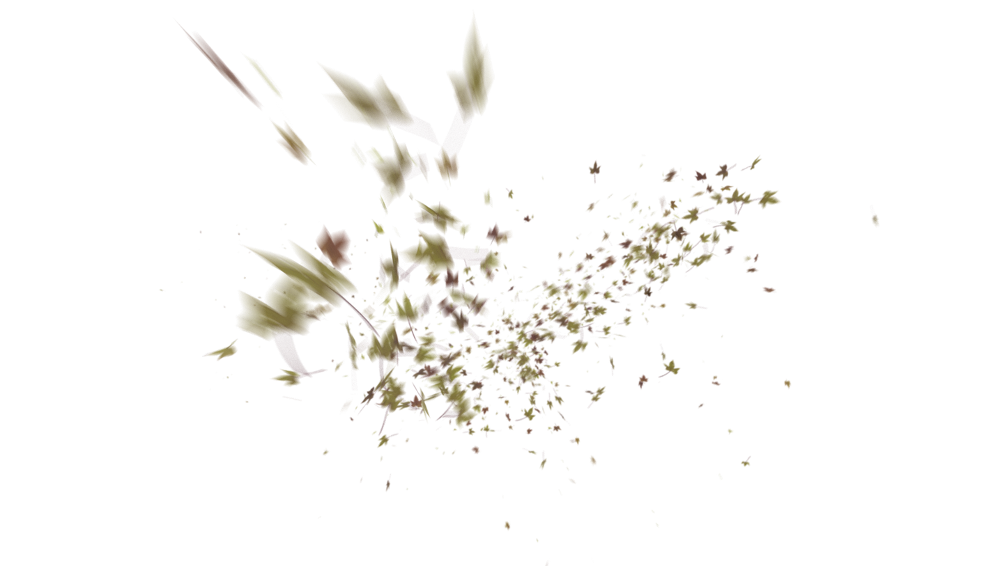 Leaves PNG - Genariq