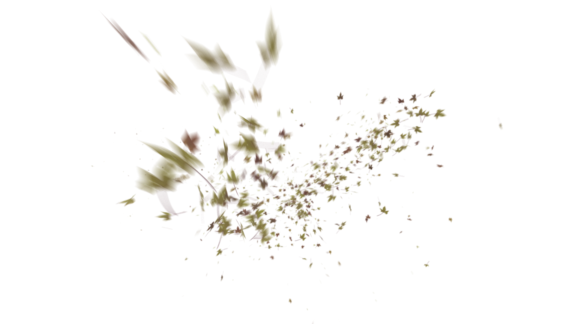Leaves PNG - Genariq