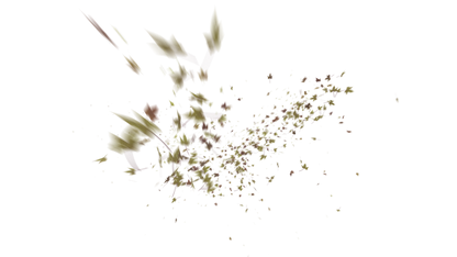Leaves PNG - Genariq