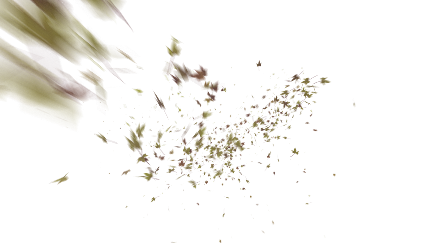 Leaves PNG - Genariq