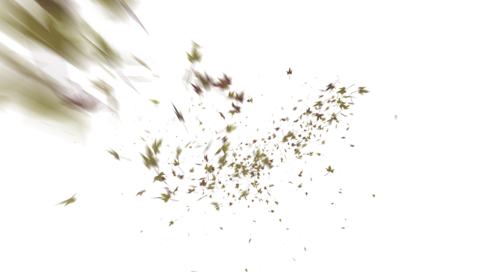 Leaves PNG - Genariq